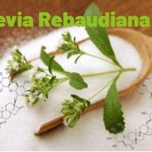 甜叶菊 Stevia Rebaudiana 25lbs