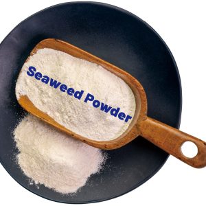 海藻粉 Seaweed Powder