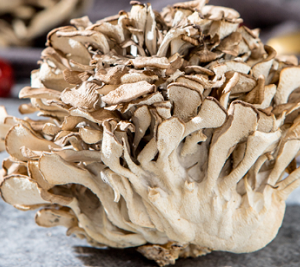 舞茸菇5lbs Maitake Mushroom